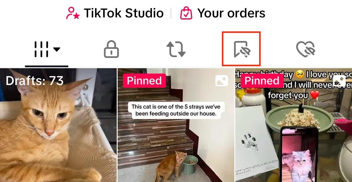 tiktok bookmark icon