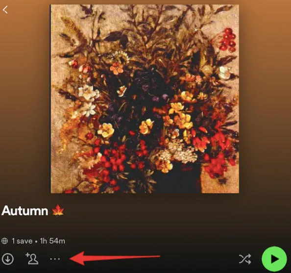 spotify mobile playlist menu