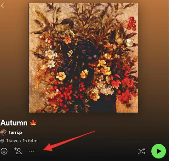 spotify playlist menu