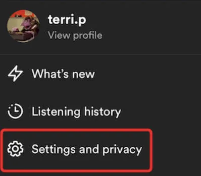 spotify settings