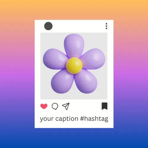 parts of an instagram post