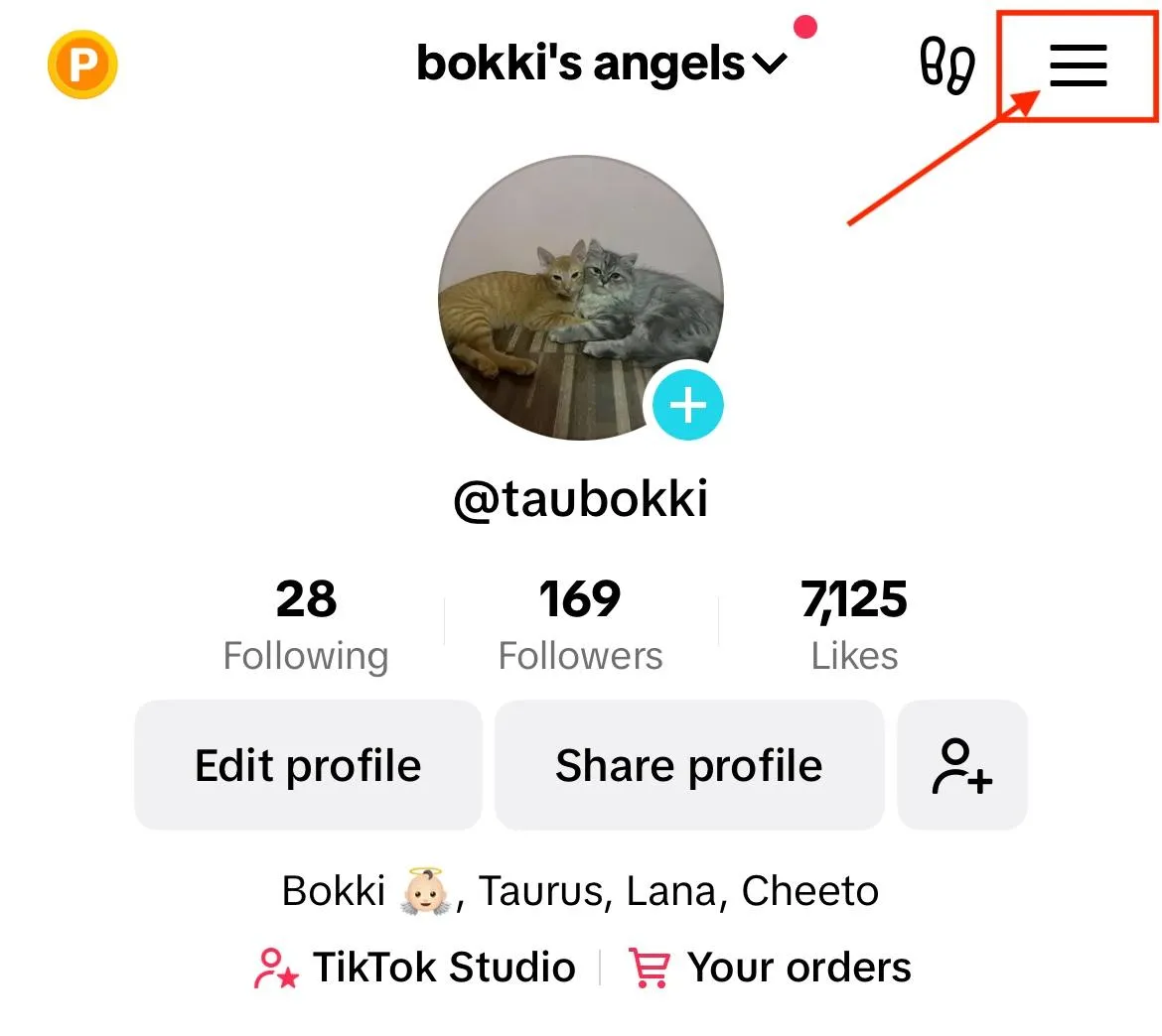 tiktok profile three horizontal