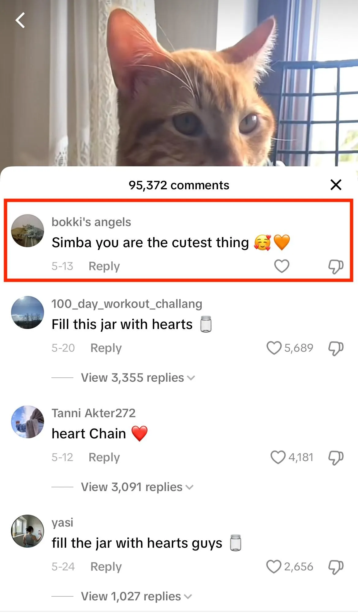 tiktok comment section