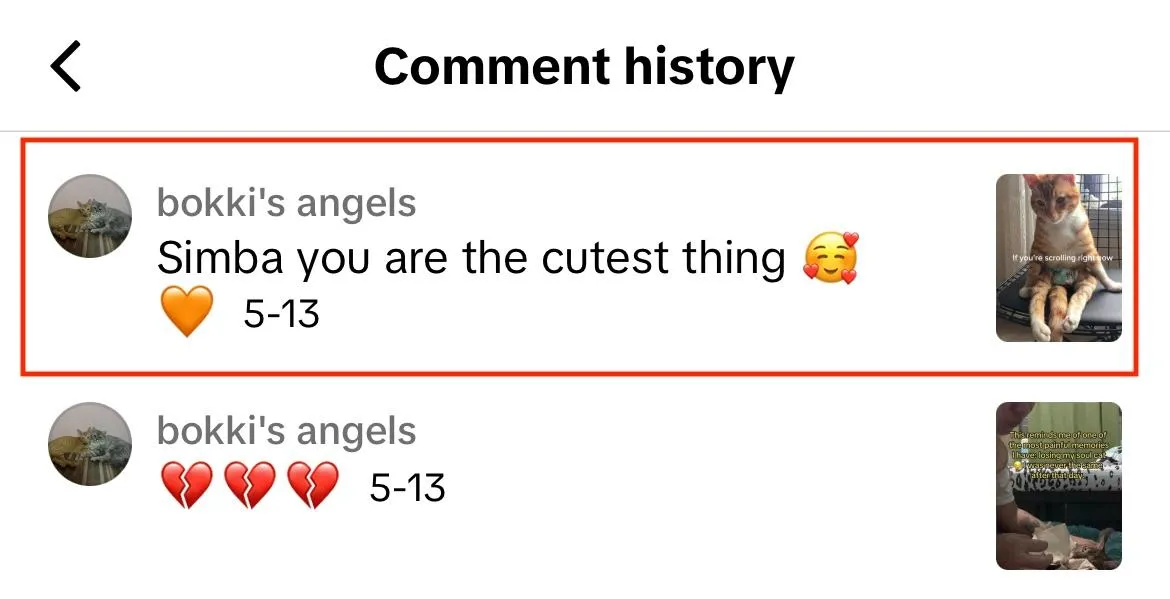 tiktok comment