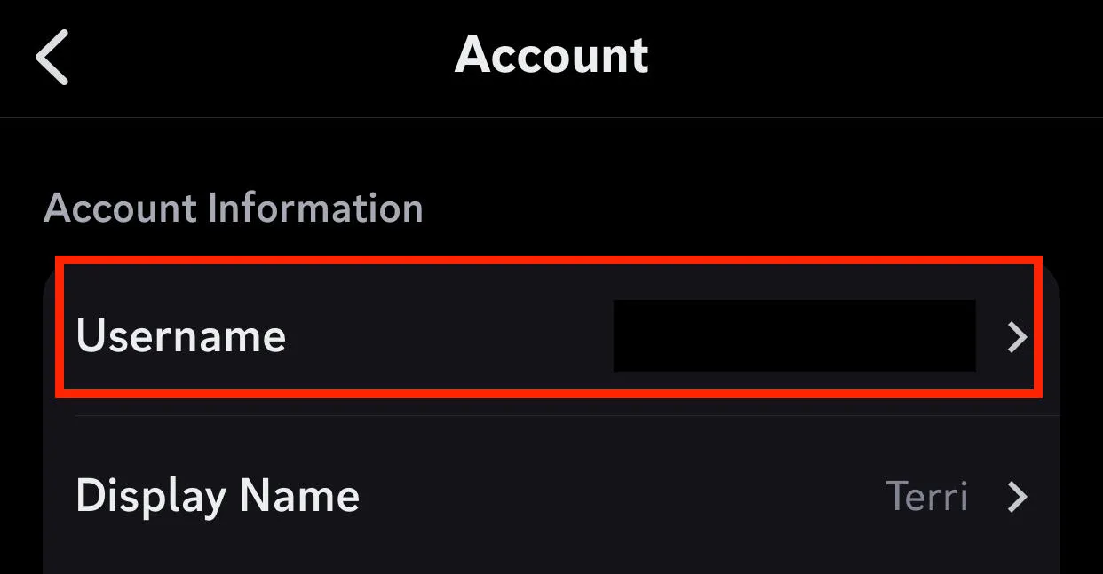 discord username settings