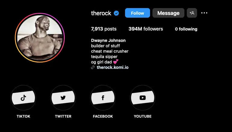 the rock instagram profile