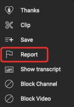 youtube report video option