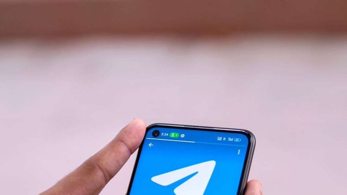 where to see telegram analytics
