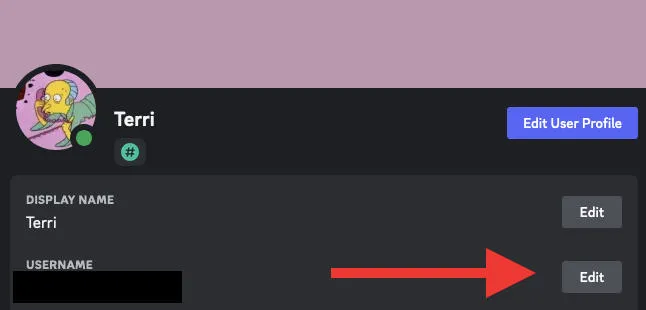 discord desktop edit username