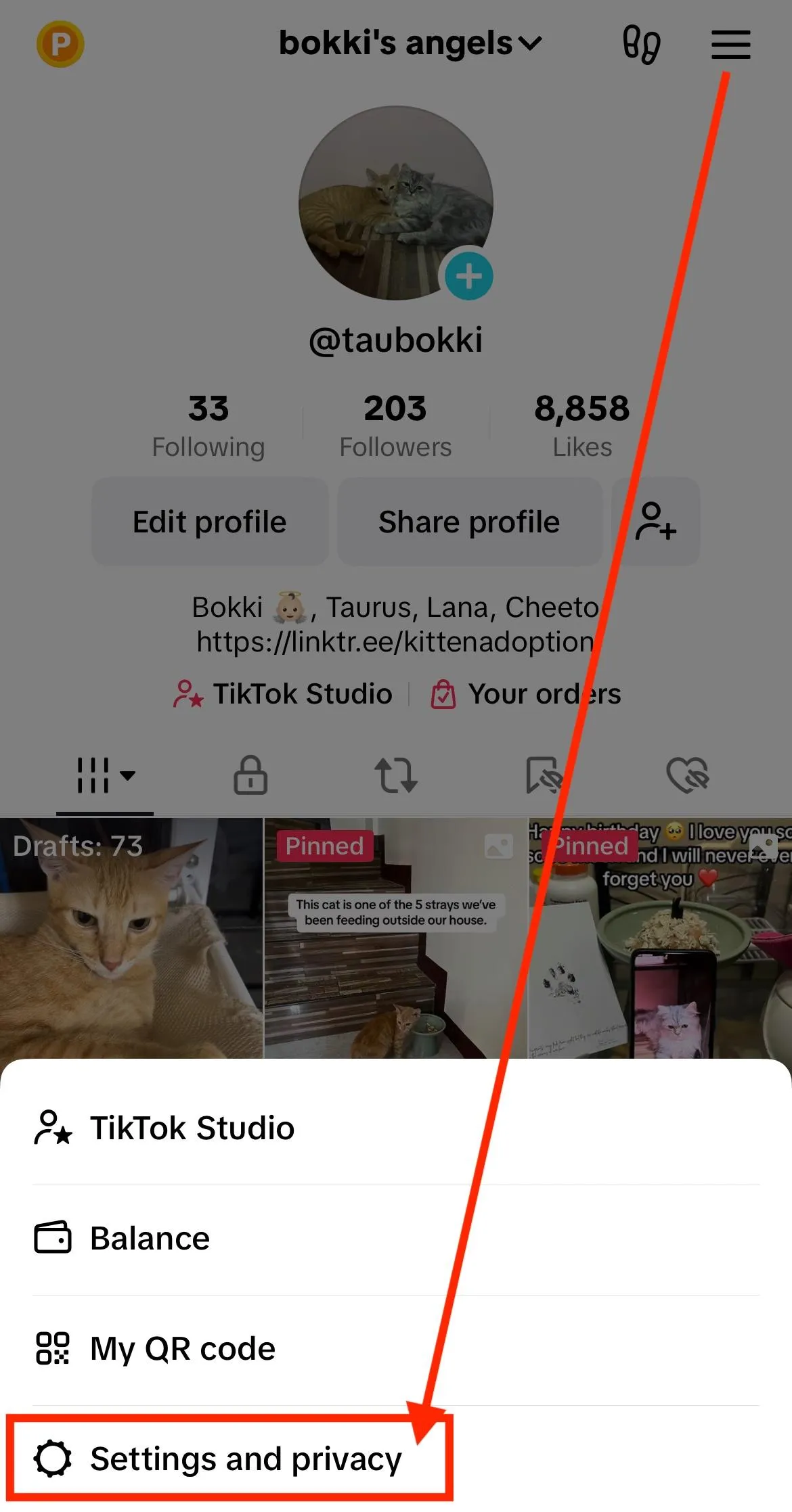 tiktok profile settings privacy