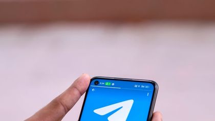 where to see telegram analytics