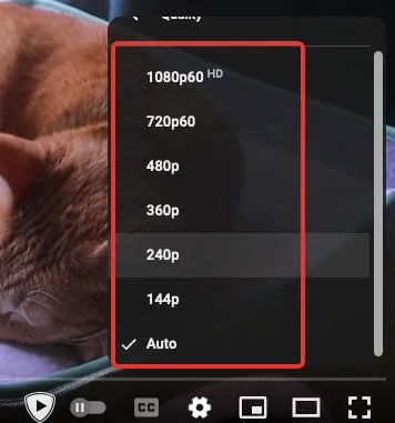 youtube quality options