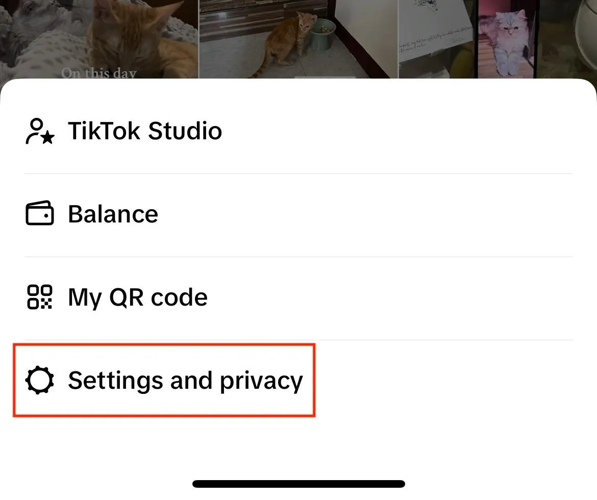 tiktok settings and privacy